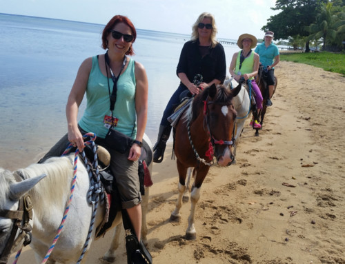 Horseback Riding